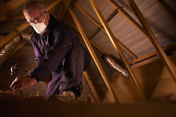 Best Home Insulation Services  in Samoset, FL
